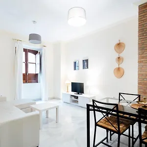Alohamundi Zaragoza Iv Sevilha